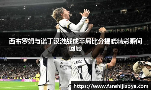 西布罗姆与诺丁汉激战成平局比分揭晓精彩瞬间回顾